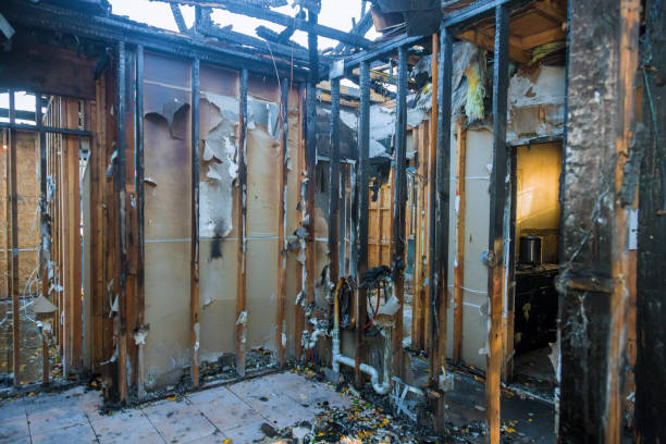 Professional Soot Cleanup technician working in Celebration, FL